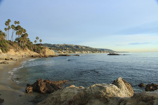 Whale-Watching and Orange County Beaches Tour From Anaheim - The Sum Up