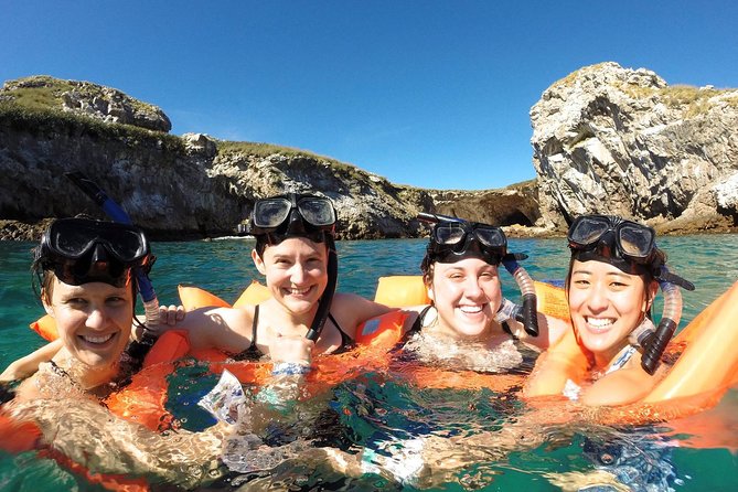 Whale Watching and Snorkeling in Marietas Islands National Park - Cancellation Policy and Refund Information