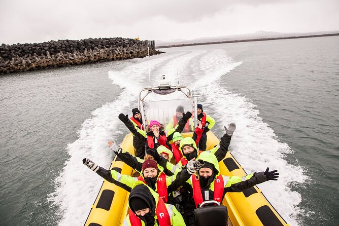 Whale Watching by RIB Speedboat From Downtown Reykjavik - Directions