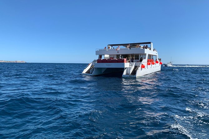 Whale Watching Cruise in Cabos San Lucas and Ground Transportation - Reviews and Ratings