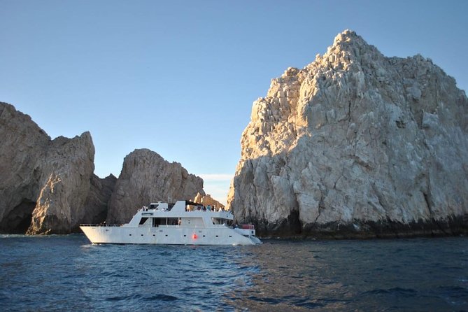 Whale Watching Cruise in Los Cabos - Terms and Conditions