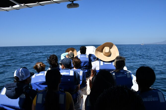 Whale Watching Guaranteed Experience in Puerto Vallarta - Common Questions