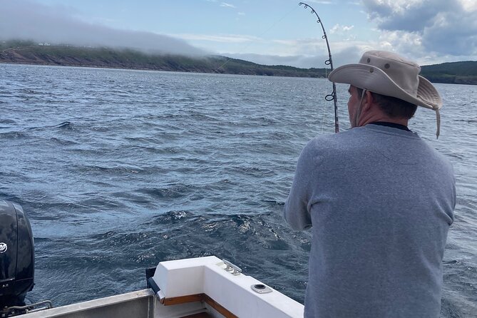 Whale Watching, Shark and Cod Fishing, From St. Johns Harbor - Directions and Location Details