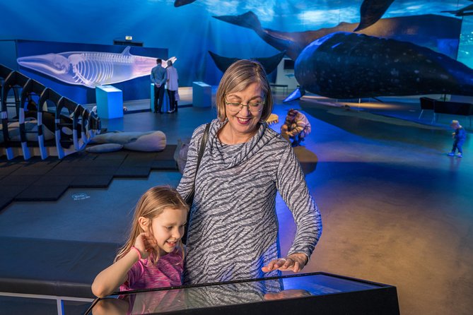 Whales Of Iceland Admission Ticket - Additional Information and Cancellation Policy