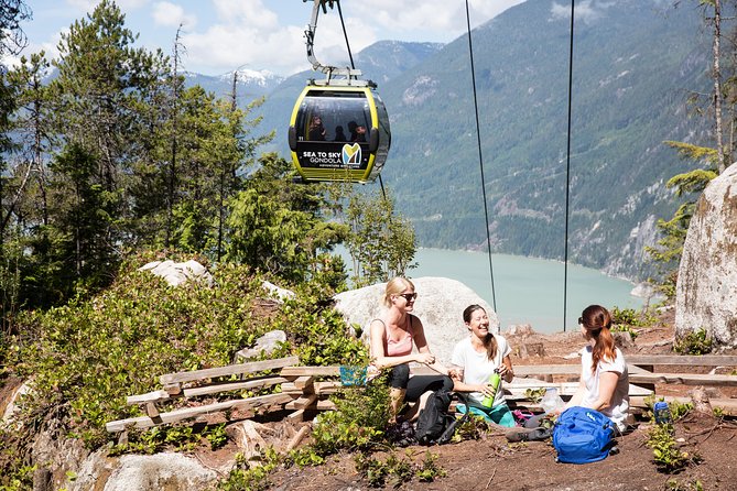 Whistler and Sea to Sky Gondola Tour - Positive Reviews About the Tour Guide