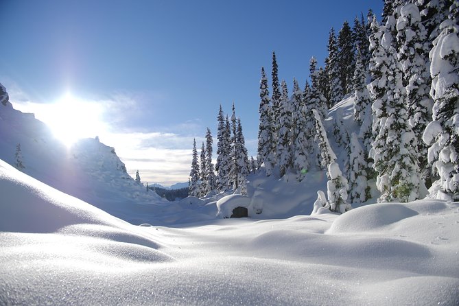 Whistler Small-Group Full-Day Snowshoe Tour - Snowshoe Adventure in Whistler