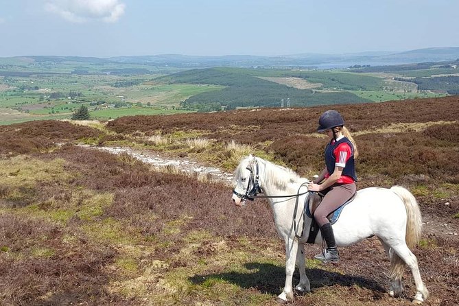 Wicklow Monutains Horse Trekking - The Sum Up