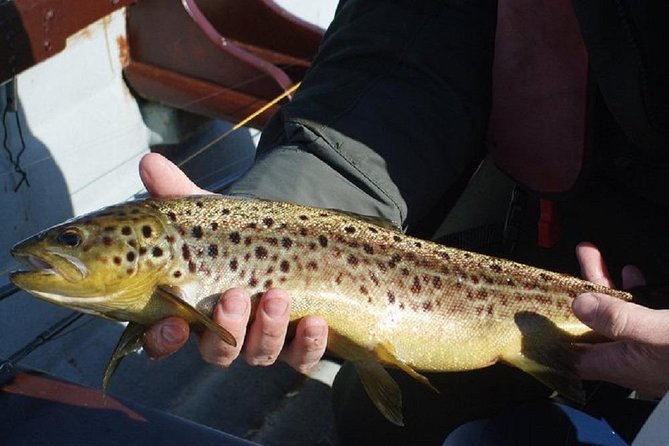 Wild Brown Trout Fishing. Lough Corrib. French Speaking Ghillie/Guide. Full Day. - Common Questions