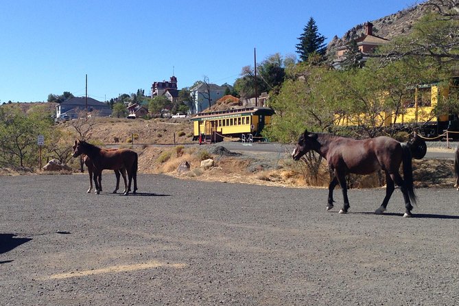 Wild West Day Trip to Virginia City From Tahoe With Train Ride - Common Questions