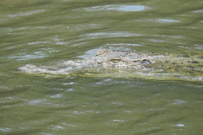 Wildlife at Sungei Buloh Wetland Reserve - Common Questions