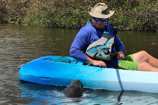 Wildlife Refuge Manatee, Dolphin & Mangrove Kayak or Paddleboarding Tour! - Knowledgeable Guides