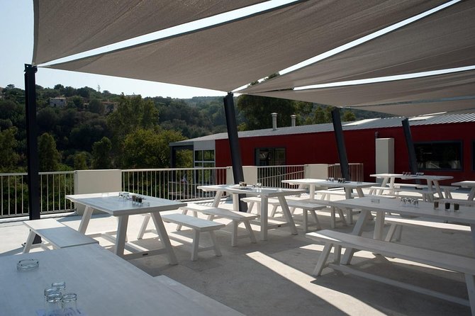 Wine, Beer, Olive Oil Tasting Private Tour (Price per Group of 6) - Tour Experience Highlights