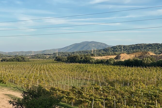 Wine & Food Tour in Sardinia : Small Group - Common Questions