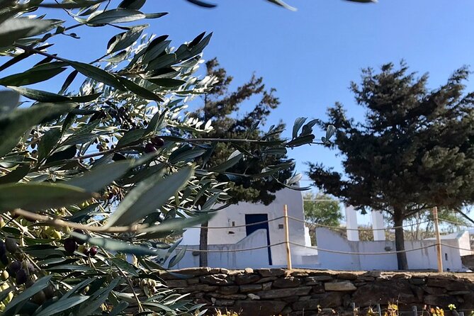 Wine Tasting and Tour in Saint Anna Winery in Naxos - Wine Tasting Experience