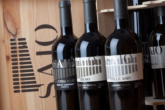 Wine Tasting and Walk in the Vineyard of Assisi - Panoramic Views of Assisi