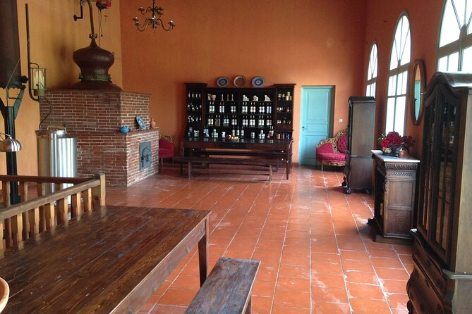 Wine Tasting in Rhodes, Inside the Vineyards With the Producer - Common Questions