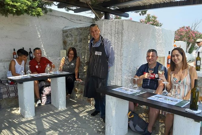 Wine Tasting Tour at a Traditional Farm in Mykonos - Traveler Reviews