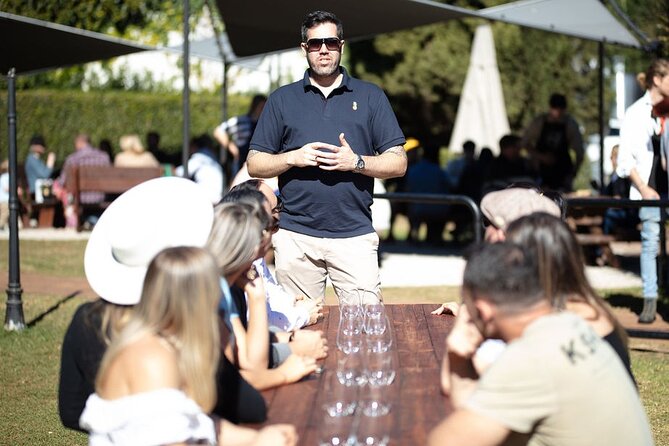 Wine Tasting Tour to Tamborine Mountain - Experience Exquisite Wines