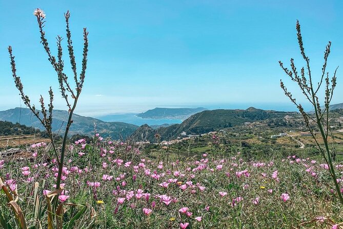 Wine Tasting Walk in Pini - Start and End Details