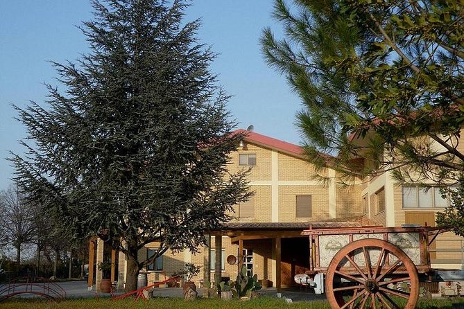Wine Tour and Tasting in Nocciano - Important Booking and Cancellation Information