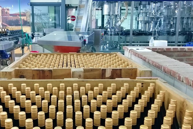 Wine Trails Private Tour/ Nemea Visit 3 Wineries From Athens or Nafplion (10 H) - Tour Guide and Additional Sites