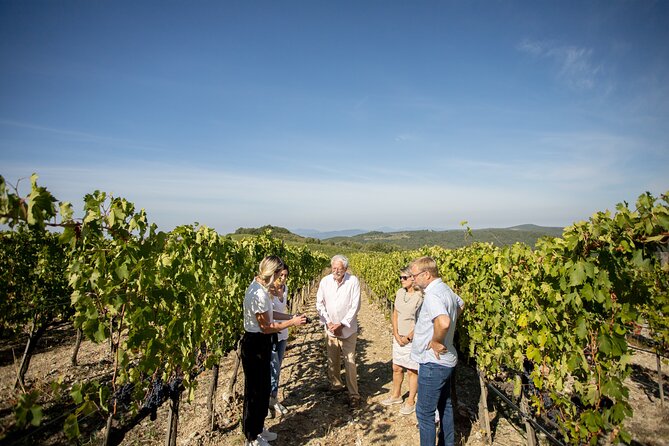 Winery Tour & Gourmet Tasting in Montalcino - Lowest Price Guarantee