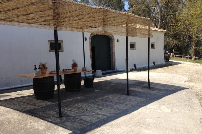 Winery Tour With Wine and Olive Tasting at Theotoky Estate in Corfu - Reviews