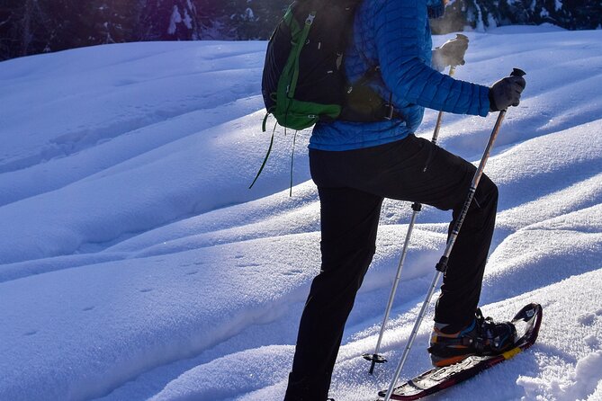 Winter Yellowstone Tour (With Optional Hike or Snowshoe) - Optional Hike or Snowshoe