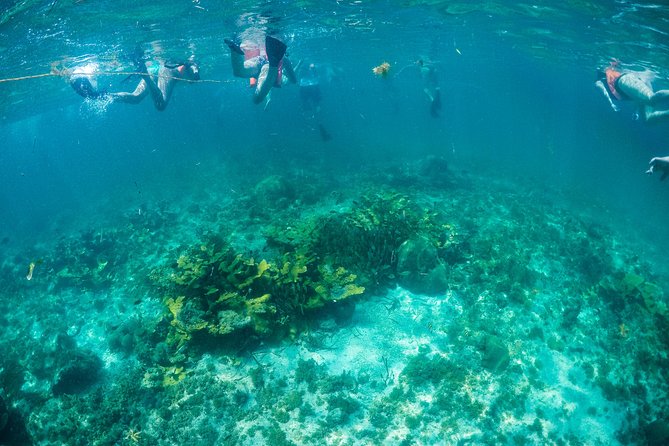 Women's Island Tour by Catamaran From Cancun City - Weather and Cancellation Policy
