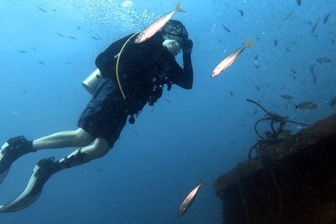 Wreck and Bridge Span Dive Charter for Certified Divers - Reviews and Testimonials