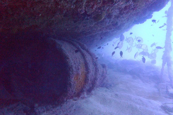 Wreck Exploration Ricardo-18m (Certified Diver) - Wreck Overview