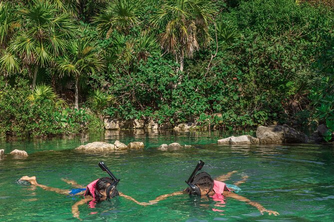 Xcaret Park Entry Ticket With Night Show Included *Official Product* - Dining, Accessibility, and Recommendations