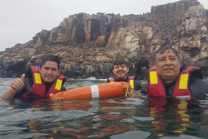 Yacht Tour to Palomino Islands to Swim With Sea Lions - Common Questions
