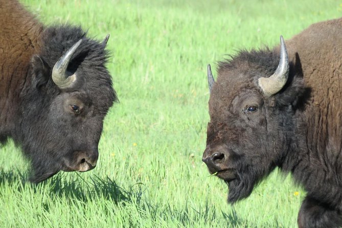 Yellowstone National Park - Full-Day Lower Loop Tour From West Yellowstone - Directions