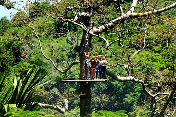 Ziplines 28 Platforms With Free Transfer Roundtrips - Making the Most of Your Zipline Experience