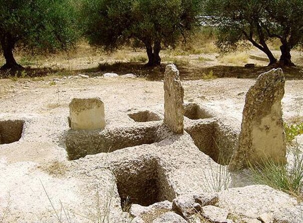 25 Best Safari Tours In Crete