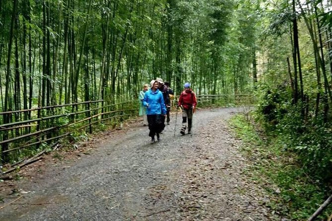 6-Day Off The Beaten Track Trek To Ba Be Lake And Ban Gioc Waterfall - Trekking Through Remote Villages