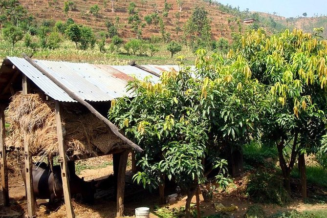 6 Days Pilgrimage Salang Village Homestay Hike - Meeting and Pickup Details