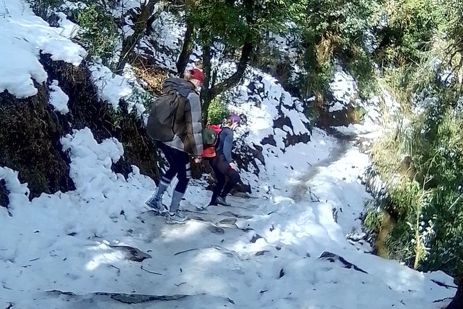 6 Days Poon Hill - Ghandruk Circuit Trek From Kathmandu - Good To Know