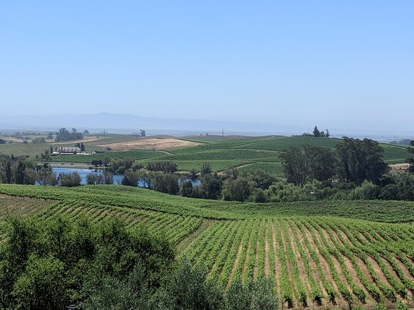 6 Hour Napa and Sonoma Valley Wine Tour From San Francisco - Good To Know