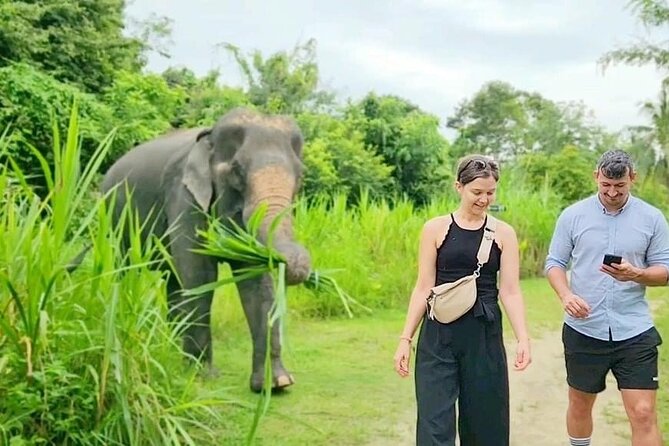 6 Hours Elephant Care and Jungle Tour by 4WD in Koh Samui