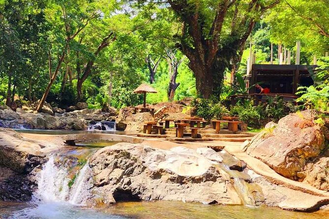 6 Hours Giant Zipline Adventure Park in Fiji
