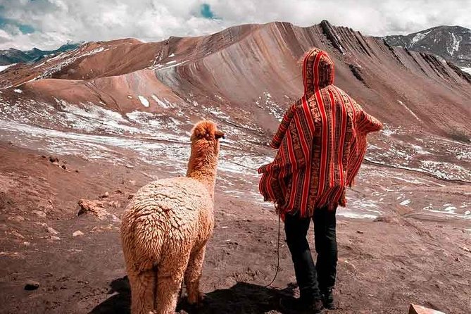 1 Day Excursion to the PALCOYO MOUNTAIN RANGE - SHORT ROUTE Only 30 Minutes of Walking.