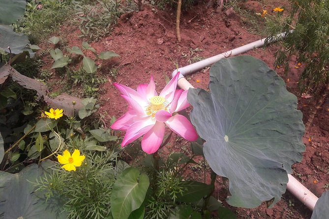 1-day Mekong Delta Tour: Floating Market, Cooking Class and Cycling - Common Questions
