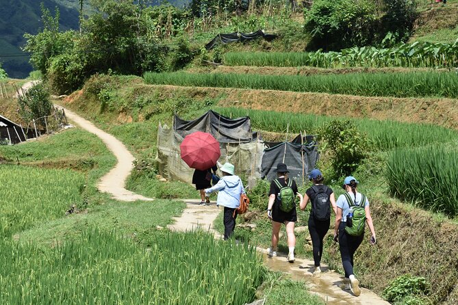 1-Day Private Trekking in Sapa Through Terraces Rice Fields - How to Book