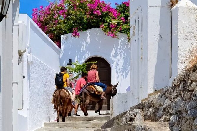 1 Day Rhodes Island Tour With Olive Oil, Honey and Wine Tasting - The Sum Up