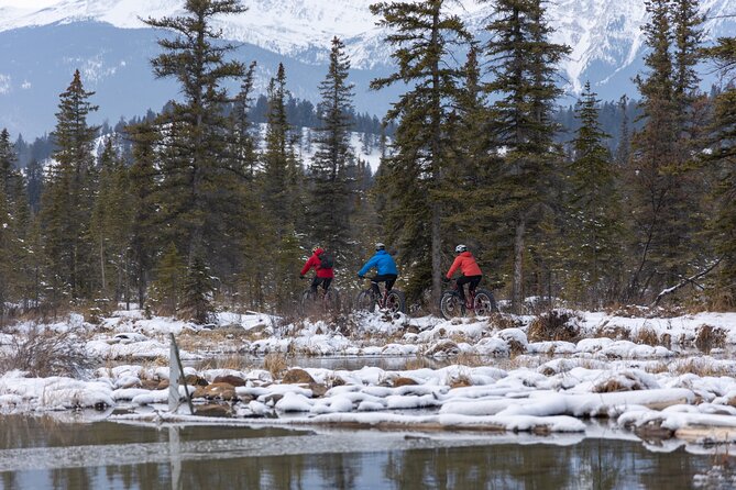 1-Hour Guided Group Fat Bike Tour - Common Questions
