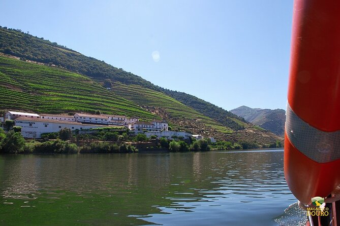 1-Hour Rabelo Boat Trip in Pinhão - Customer Reviews