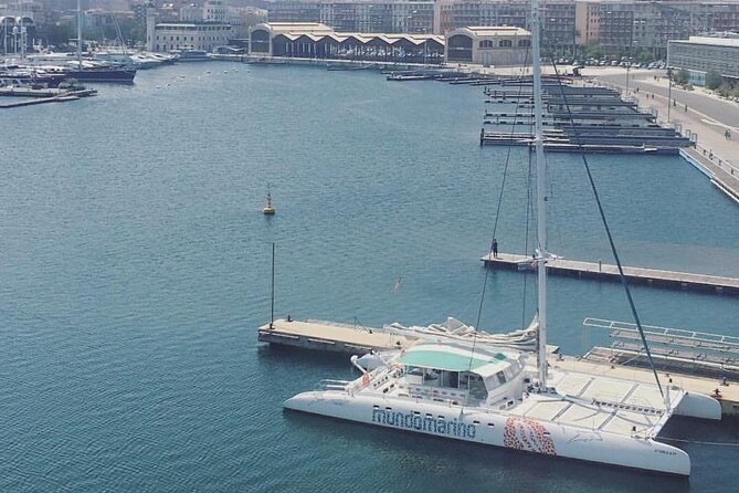 1 Hour Sailing Excursion in Valencia - Alcoholic Beverages Included