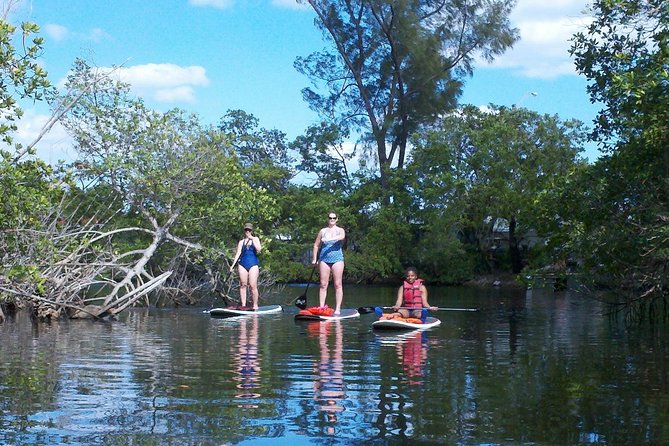 1 Hour Stand up Paddle Board Lesson for Beginners With 1 on 1 Instructor Guide - The Sum Up